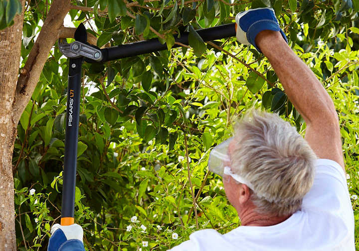 Les outils de coupe pour le jardinage