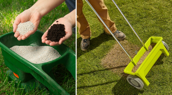 Fertiliser un gazon