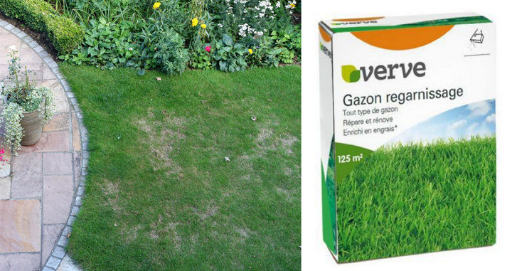 Comment entretenir un gazon