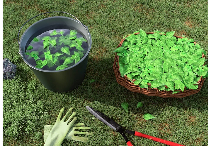 Traiter les plantes et légumes contre les maladies