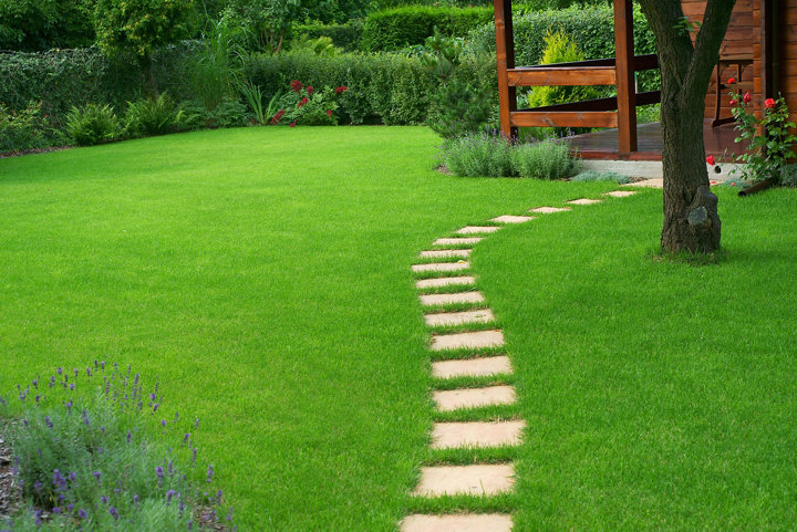 Jardin avec belle pelouse et allée en dalle