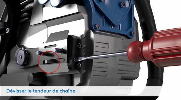 chaine sur le pignon