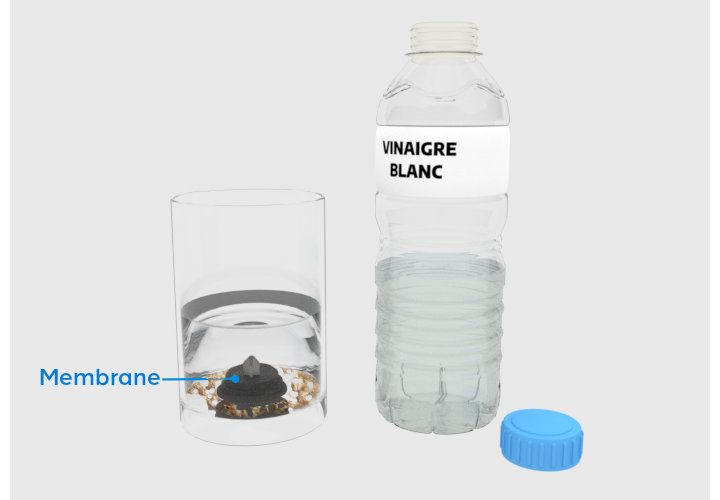 Bouteille vinaigre blacn avec verre et membre dedans avec vinaigre