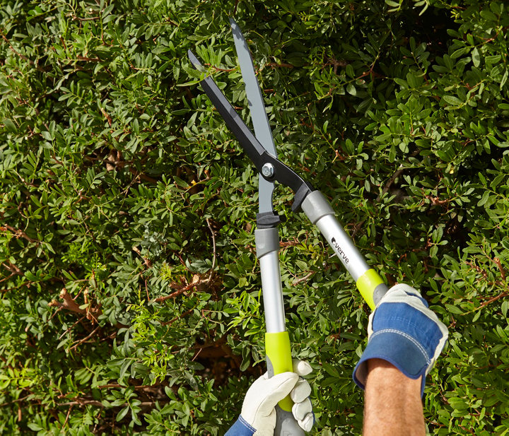 Les outils de coupe pour le jardinage