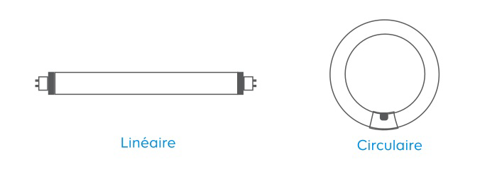 Tube fluorescent : comment faire le bon choix