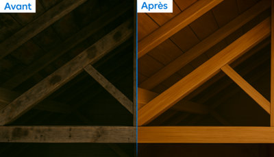 Acharpente avant / après traitement