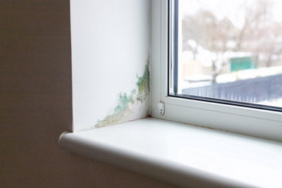 Avez-vous avez des murs froids et humides ?