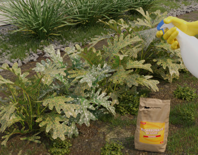 Pour le jardin​