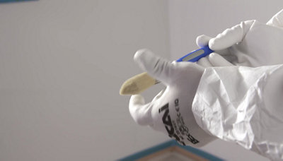 brosse à rechampir