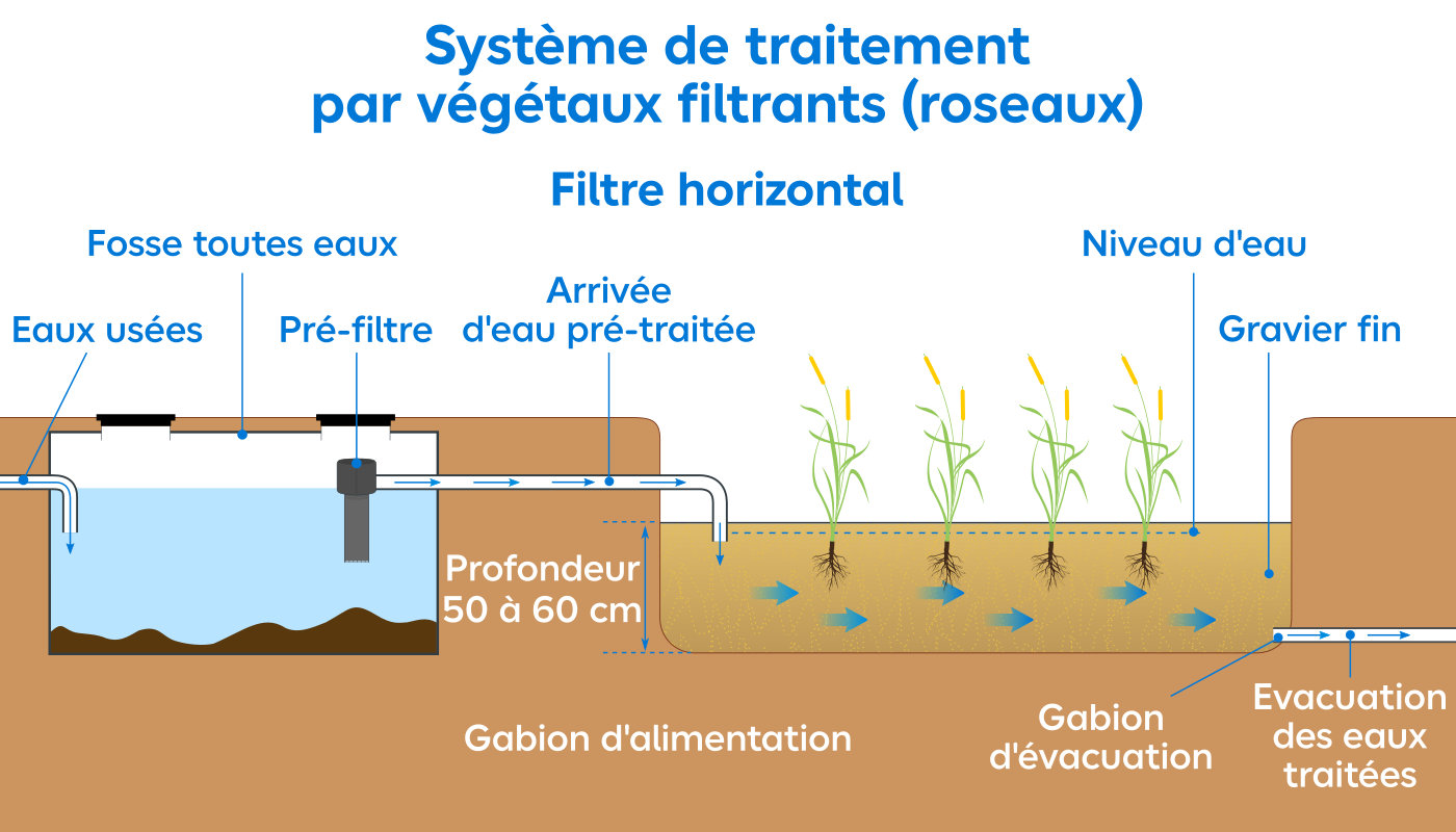 Schéma du système de traitement par végétaux filtrants
