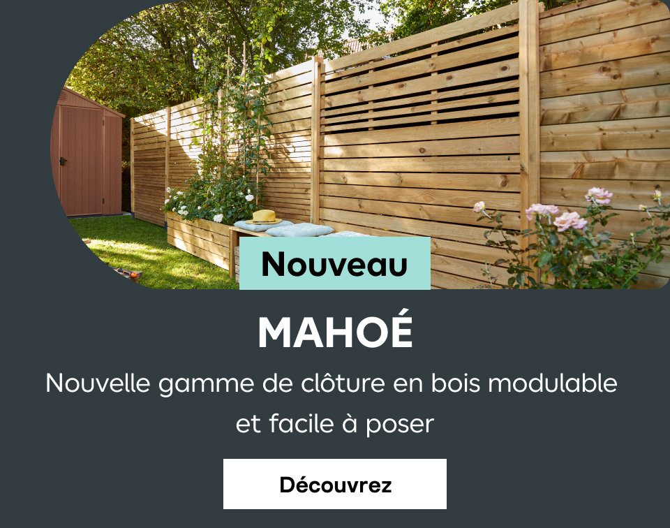 Mahoé