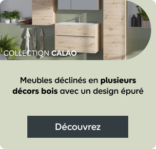 Bannière Calao