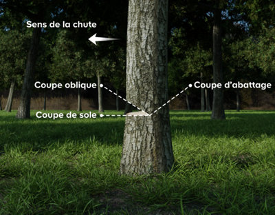 tronçonner chaîne