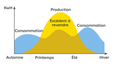 schema