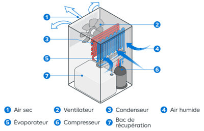 Fonctionnement