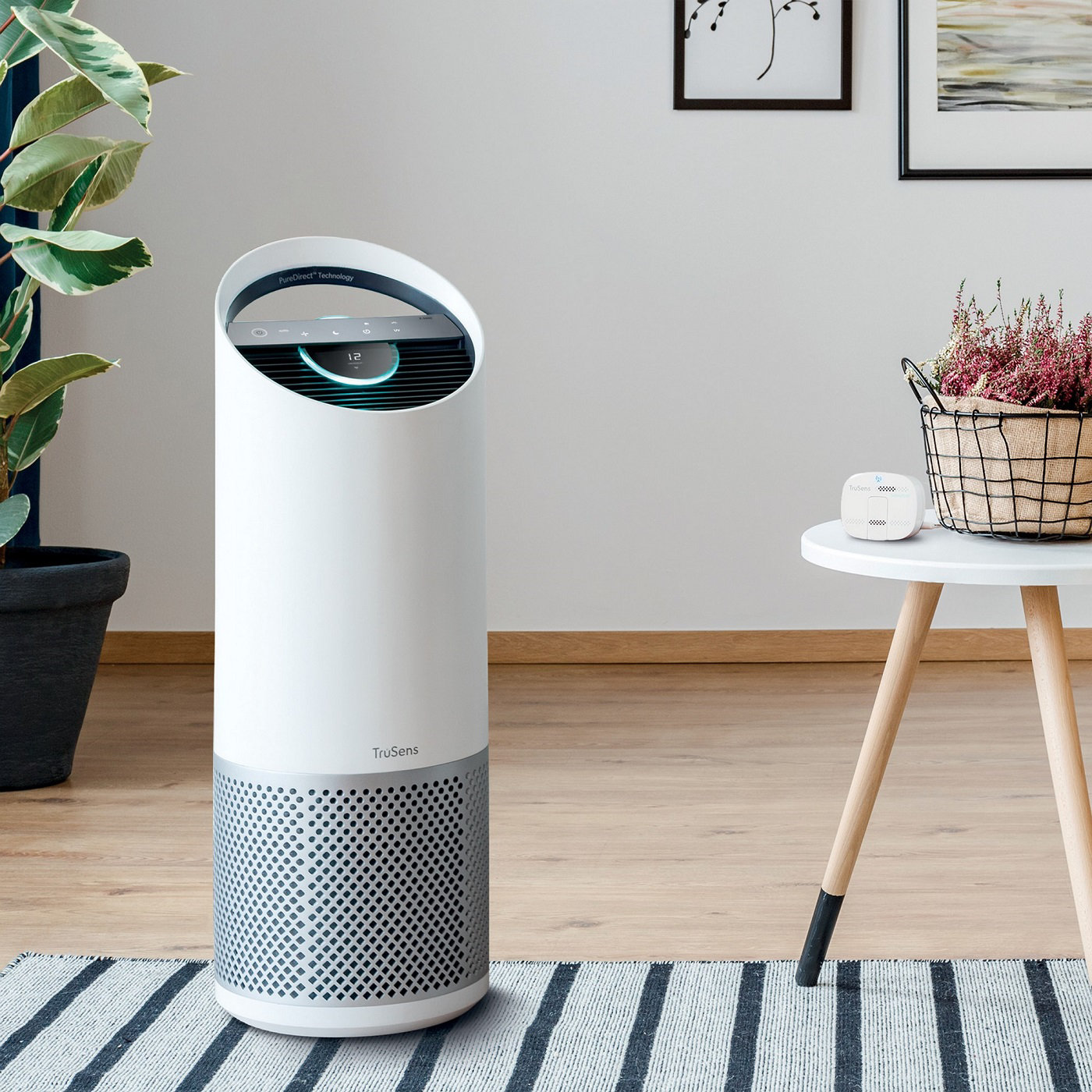 Purifier l’air de sa maison
