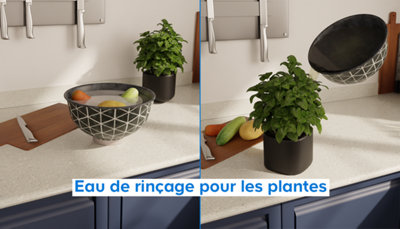 Utilisation de l'eau de rinçage pour arroser les plantes