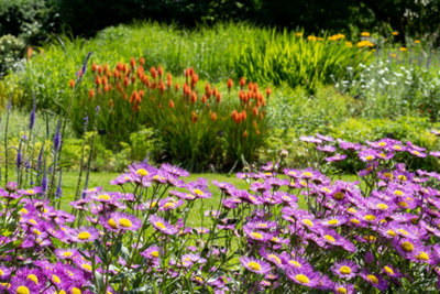 Jardinage éco responsable