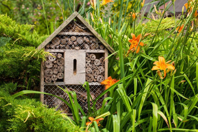 Développer la biodiversité de son jardin