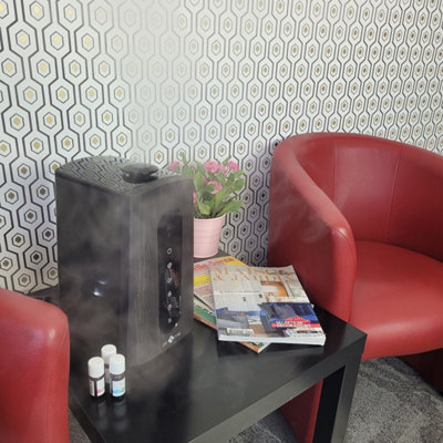 Diffuseur d'huiles essentielles
