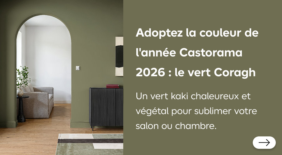 Couleur de l'année