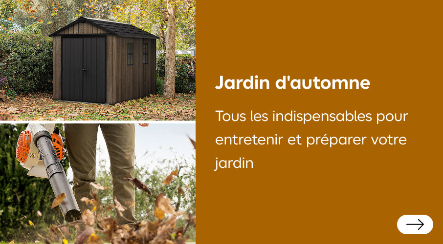 jardin d'automne