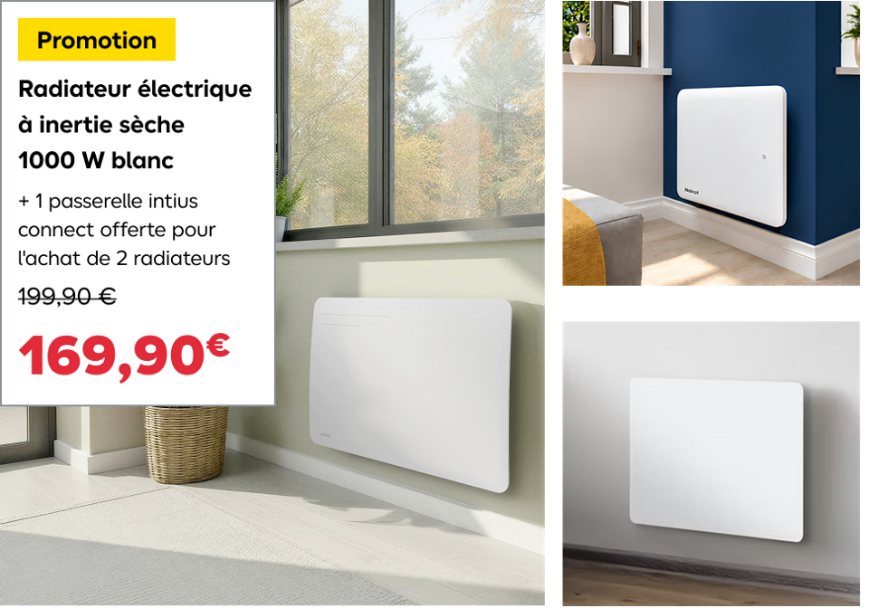 Promotion Radiateur électrique à inertie sèche 1000 W blanc + 1 passerelle intius connect offerte pour l'achat de 2 radiateurs169,90 le m2 €