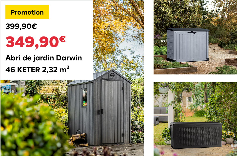 Abri de jardin Darwin 46 KETER 2,32 m²