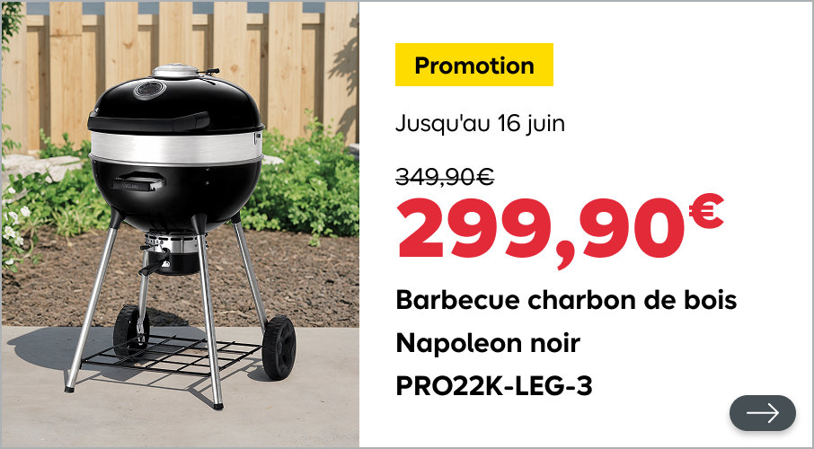 Barbecue charbon de bois Napoleon noir PRO22K-LEG-3