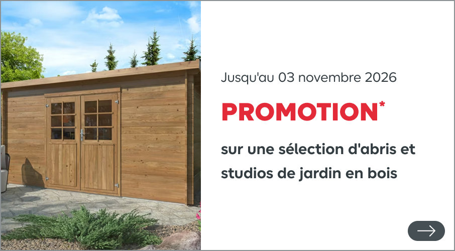 abris de jardin bois