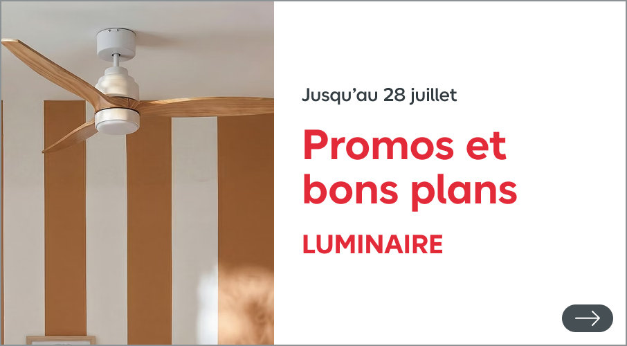 Luminaire