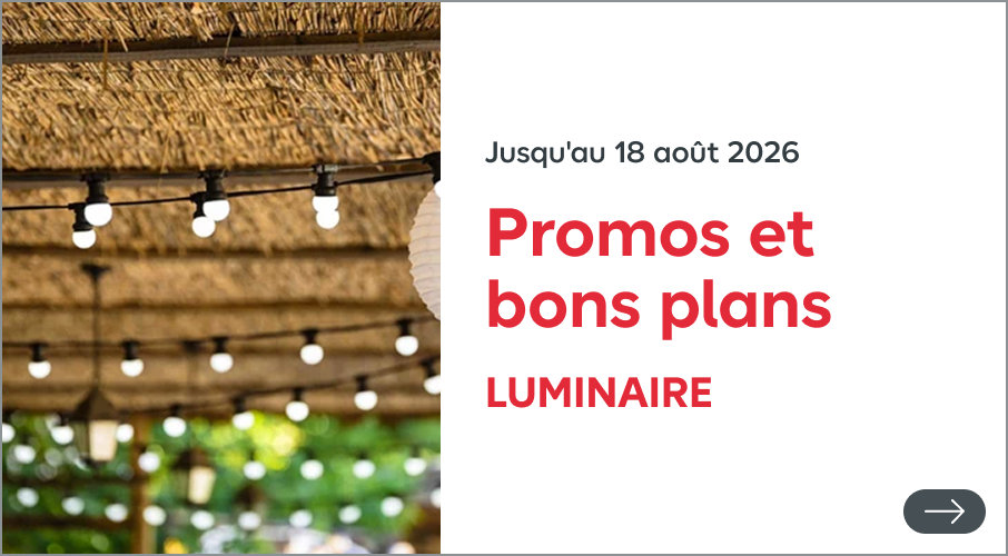 Luminaire