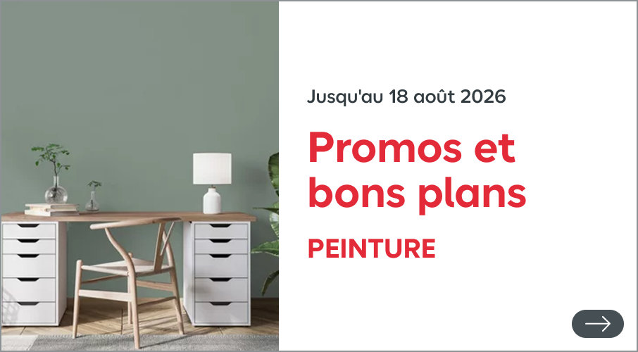 Jusqu'au 18 août 2026, promos et bons plans peinture