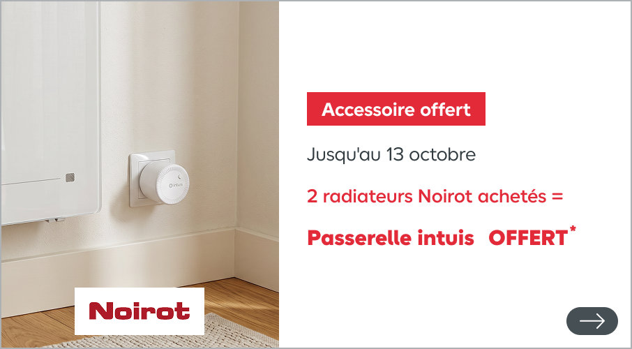 2 radiateurs Noirot achetés = passerelle intuis offert