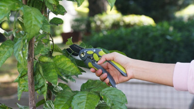 Restokki Outil De Pliage De Branches Pour Bonsaï – Modulateur En Acier Allié Avec Protection Écorce (Or + Rouge)