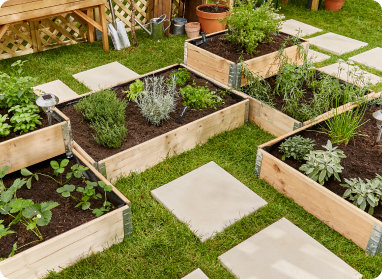 Les carrés potagers Kitchen Garden