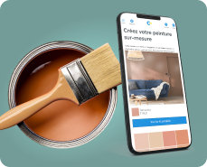 Le premier service en ligne de peinture sur-mesure
