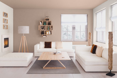 Peinture aspect velours​