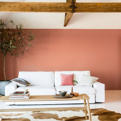 Peinture aspect mat​