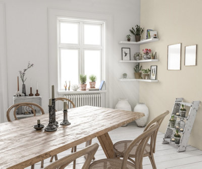Peinture biosourcée​