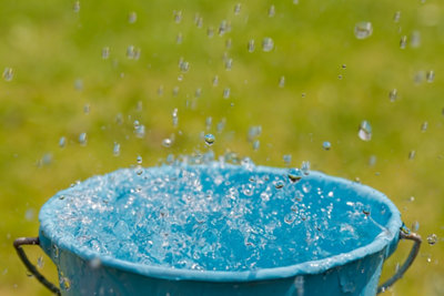 Récupérer l’eau de pluie avec des seaux​