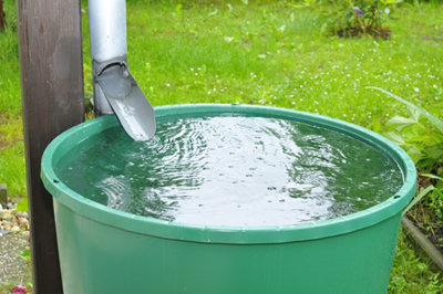 Récupérer l’eau de pluie avec des bidons​