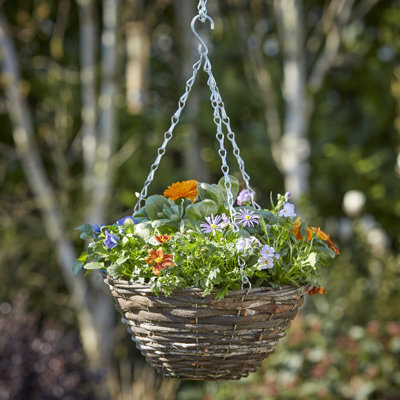 Fleurs