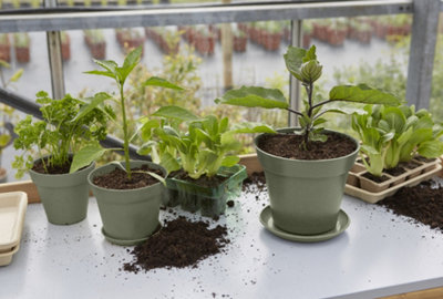 Pots de fleurs balcon