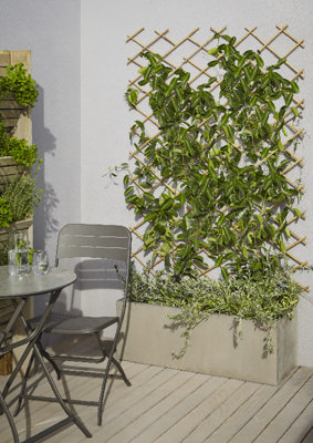 Inviter le mur végétal sur le balcon pour cacher une surface disgracieuse​