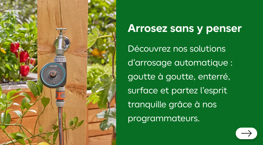 Arrosez sans y penser : nos solutions d'arrosage automatique