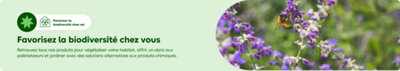 Favoriser la biodiversité chez soi
