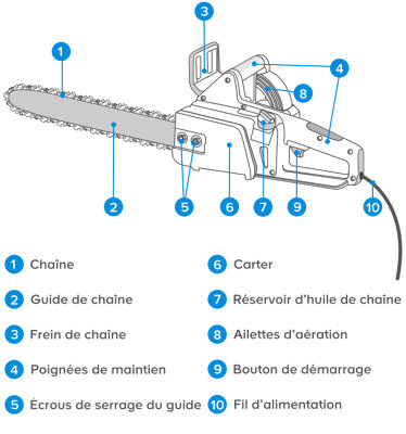 La composition d’une tronçonneuse