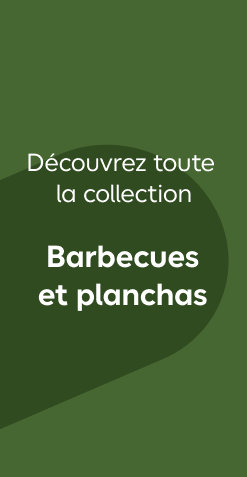 Collection barbecue et planchas