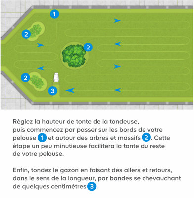 La tonte du gazon